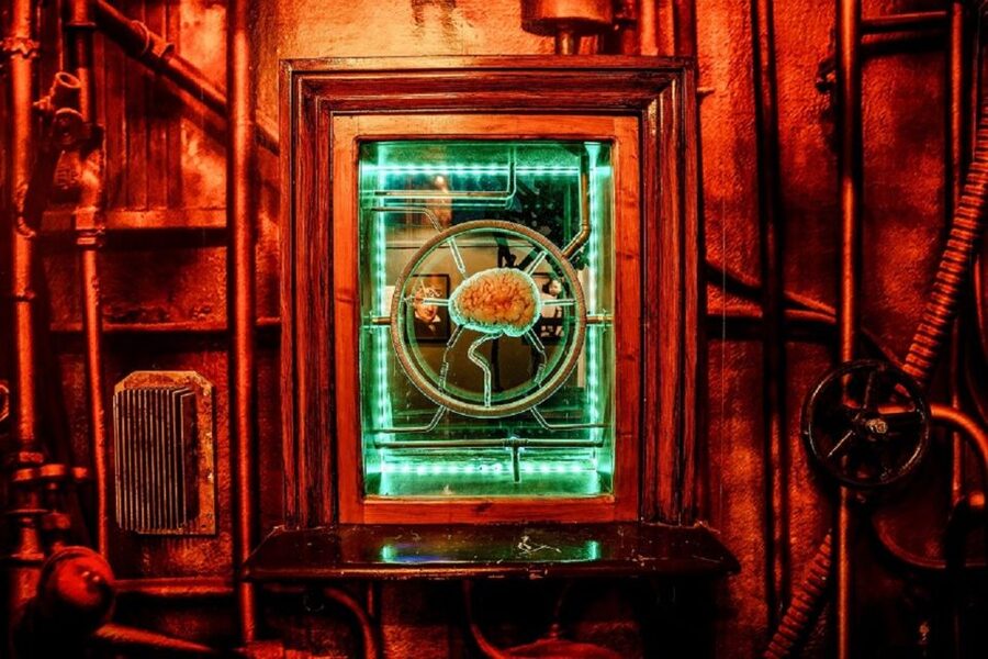 Bath: Mary Shelley's House of Frankenstein Entrance Ticket - Key things you will notice