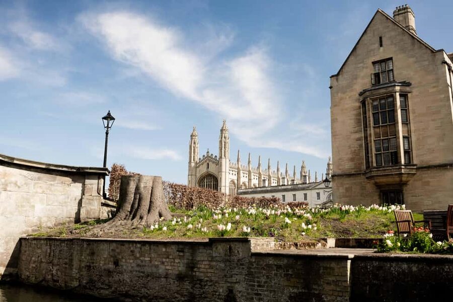 Cambridge: Punting Tour on the River Cam - Key Highlights You’ll Care About