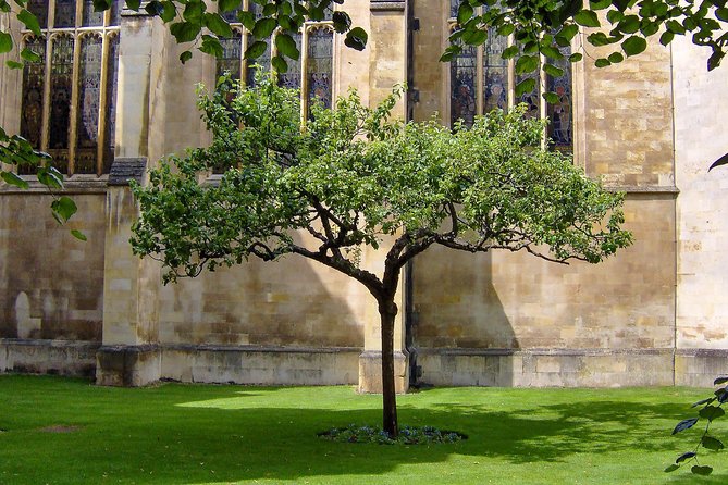 Cambridge: University Walking Tour - Group Size, Guides, and Why It Matters