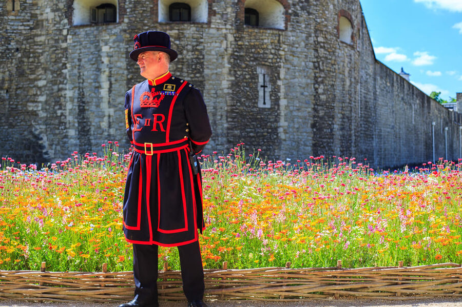 Exclusive Beefeater Meet & Greet at the Tower of London - How the small-group format changes the feel of the Tower