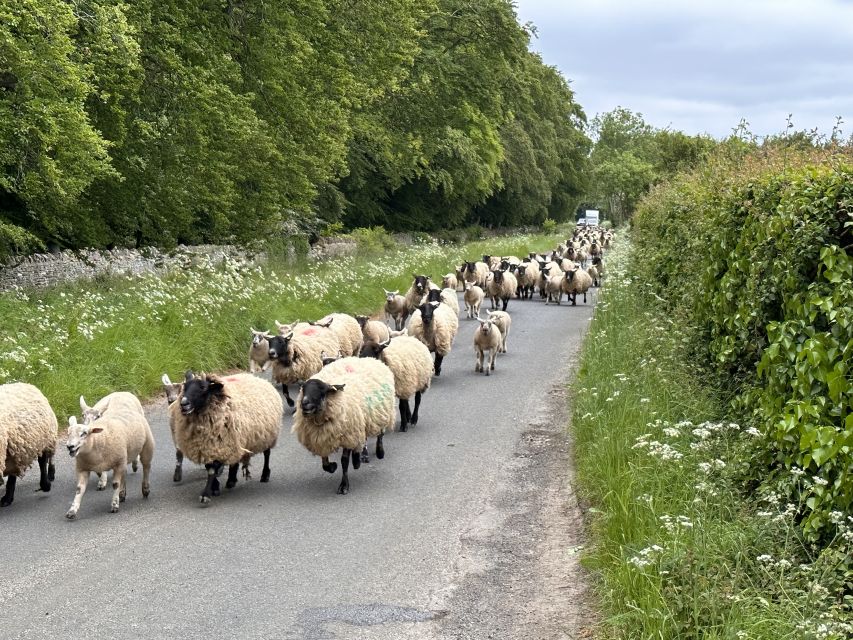 From Bath: Cotswolds Private Day Tour with Pickup - The Cotswolds countryside drive breaks, and why they matter