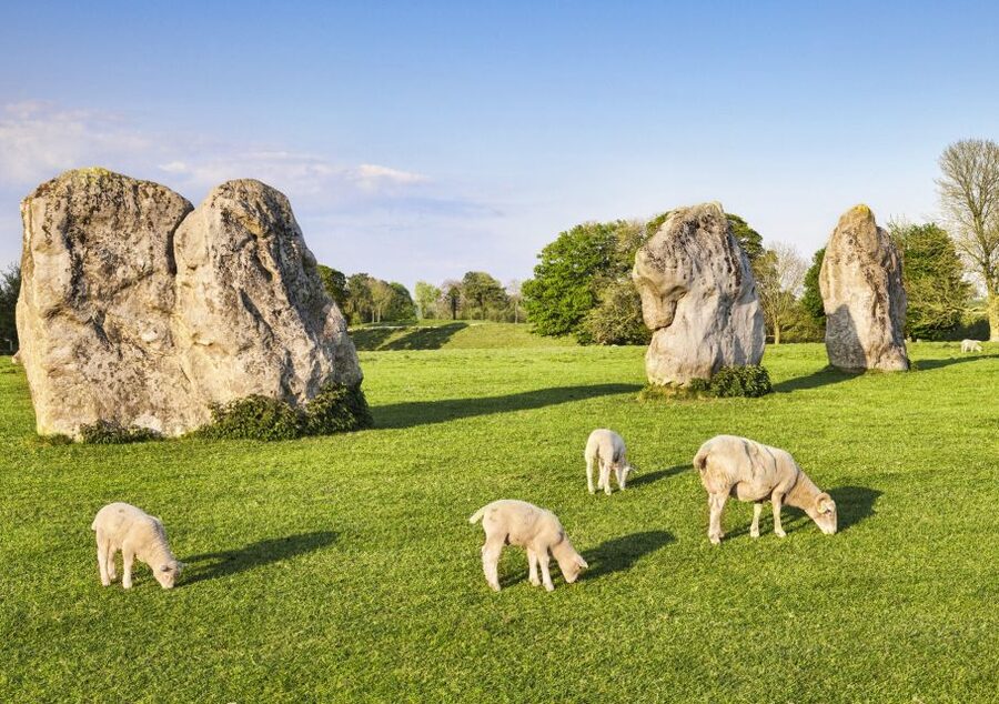 From Bath: Stonehenge & the Cotswolds Day Tour with Entry - Bath pick-up and the 16-seat Mercedes mini-coach comfort check