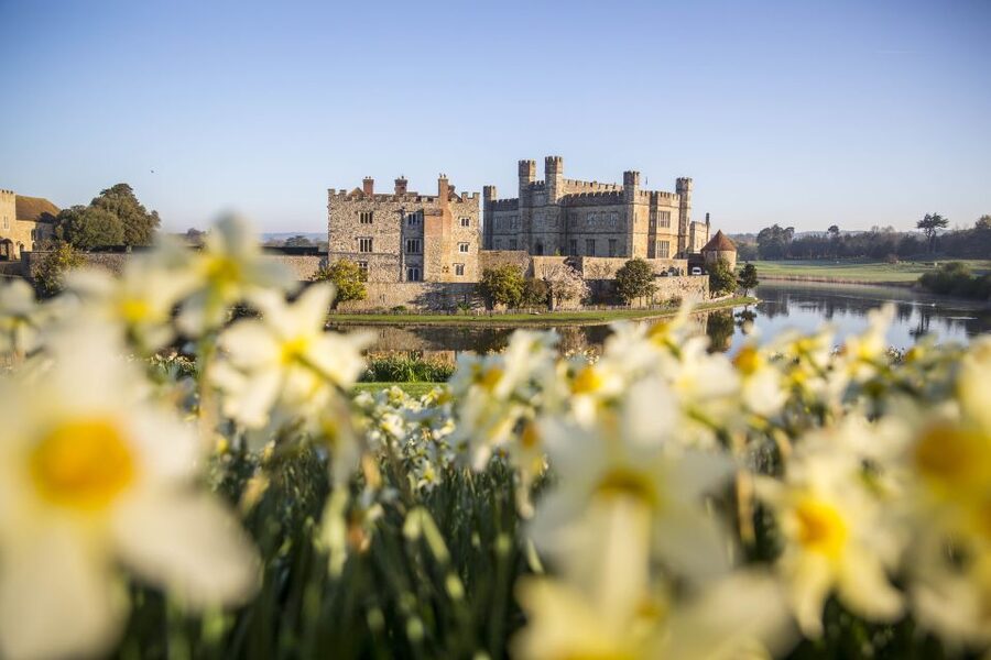 From Brighton: Leeds Castle & Canterbury Full-Day Trip - Why This Brighton to Leeds Castle and Canterbury Day Works