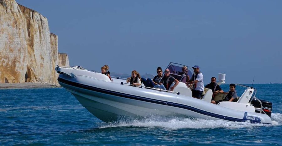 From Brighton: Private Boat Charter - Wildlife Spotting: What You Can Realistically Expect