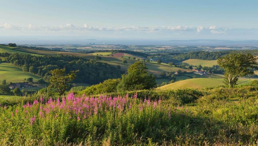 From London: Canterbury & White Cliffs of Dover Tour - Key highlights you will feel all day