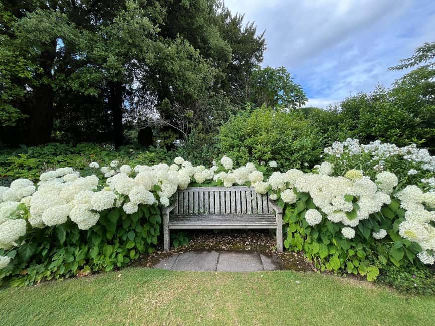 From London: Day Trip to Downton Abbey, Oxford and Bampton - Who this tour suits best (and who should skip it)