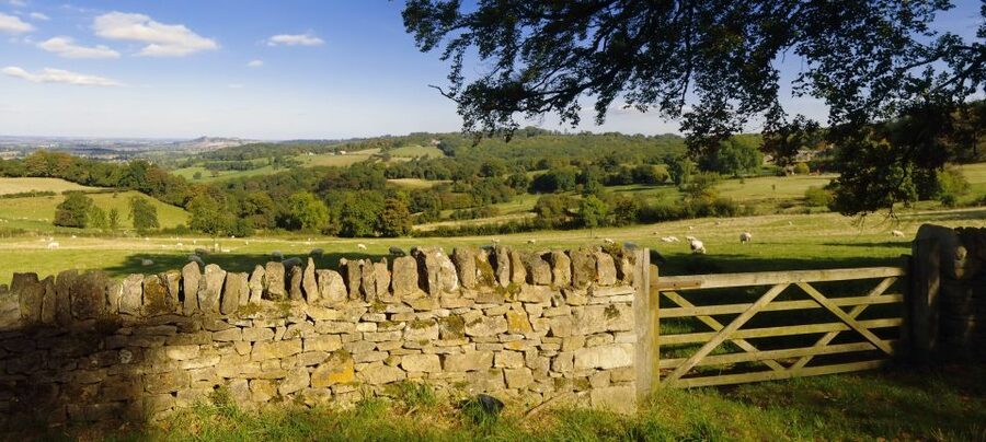 From London: Full-Day Cotswolds Small-Group Tour - Bourton-on-the-Water: 2 hours for views and relaxed wandering