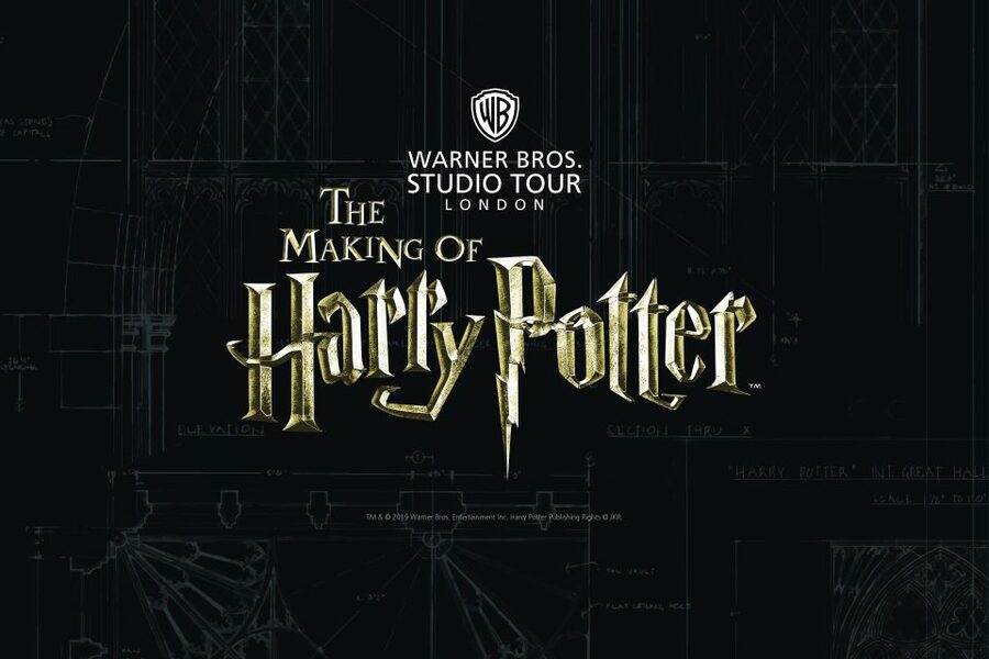 From London: Harry Potter Family Package with Transfers - Platform 9¾ and Hogwarts Express: the photo moment that gets kids excited fast