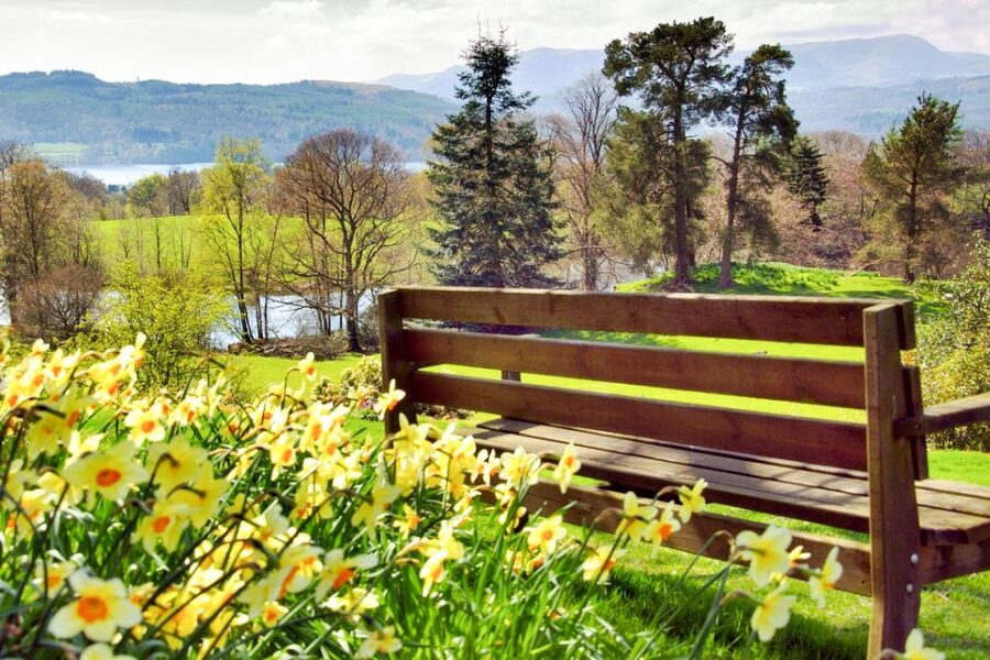 From London: Lake District Tour with Cream Tea & Cruise - Practical tips to make the day feel smooth (not rushed)