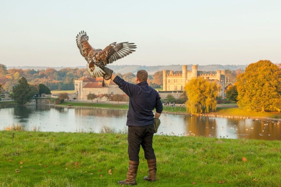 From London: Leeds Castle, Canterbury, Dover and Greenwich - Key things to know before you go
