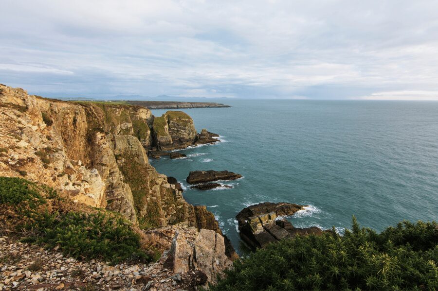 From London: North Wales, Snowdonia & Caernarfon Castle Tour - First Class upgrade: comfort on a long rail day