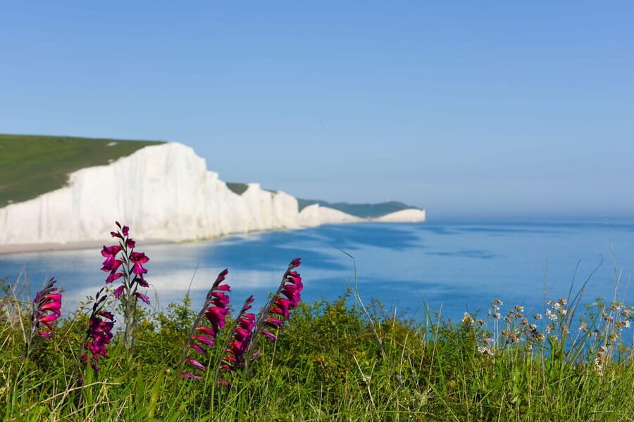 From London: Seven Sisters and Brighton Full-Day Tour - Key things you’ll notice right away