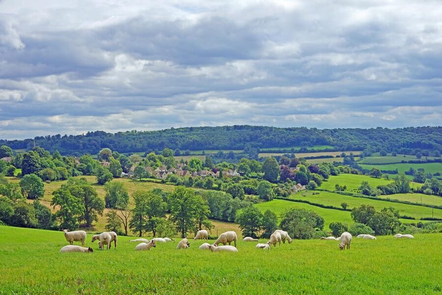 From London: Small Group Stonehenge, Bath & Cotswolds Tour - Stonehenge admission and what the guided time actually gives you