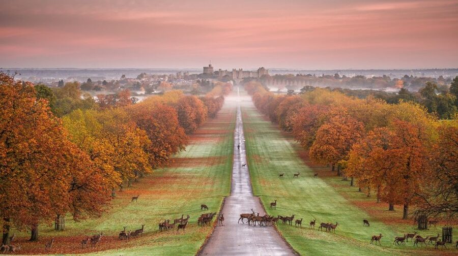 From London: Stonehenge, Windsor and Salisbury Guided Tour - Price and value: is $160.29 for three major sites worth it?
