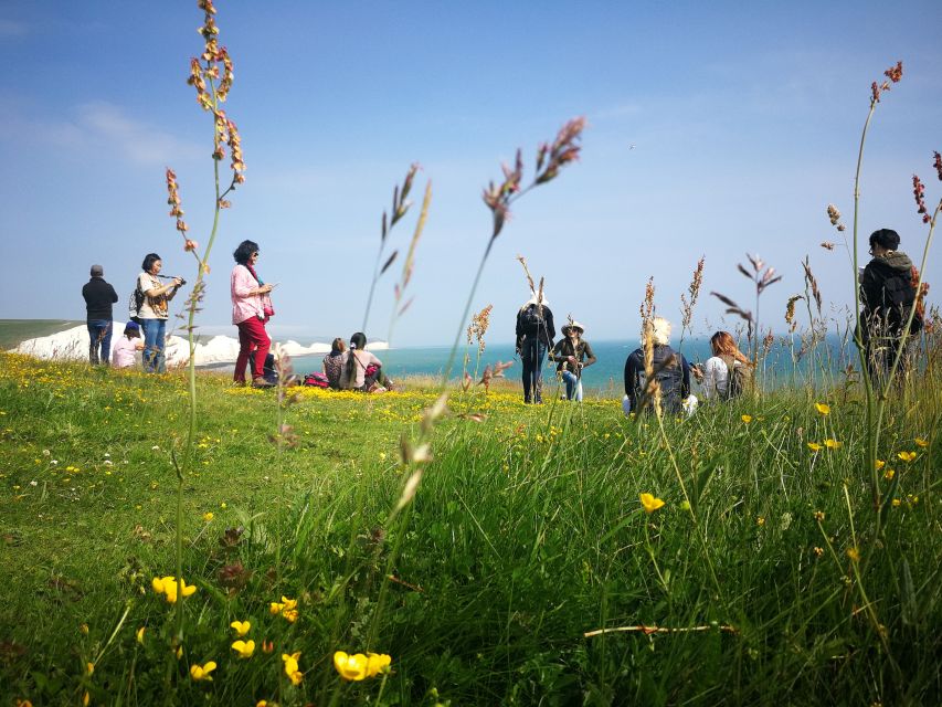 From London: Sussex Villages and White Cliff Guided Tour - What to Bring, How Much Walking to Expect, and Who This Fits