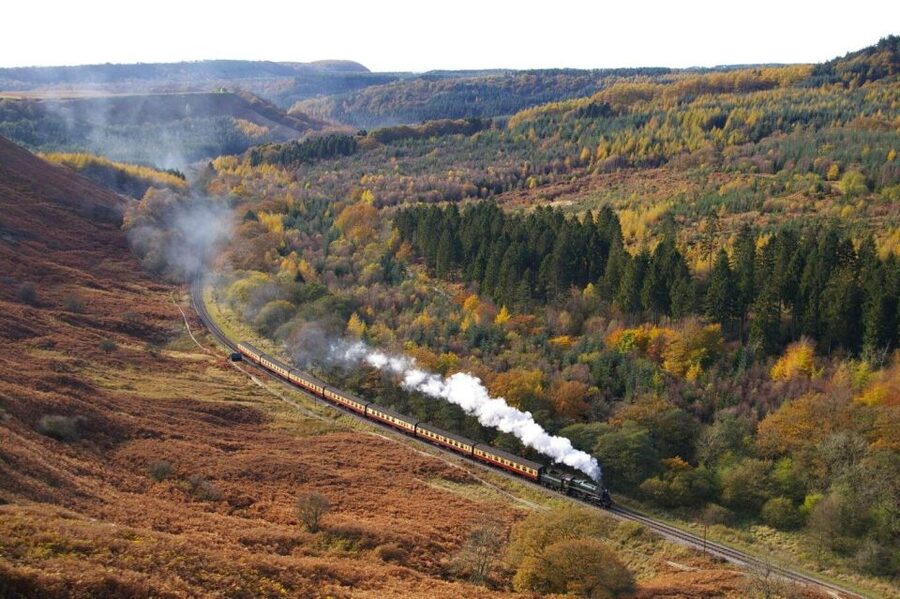 From London: The North York Moors with Steam Train to Whitby - Morning start: what the London to York rail part feels like