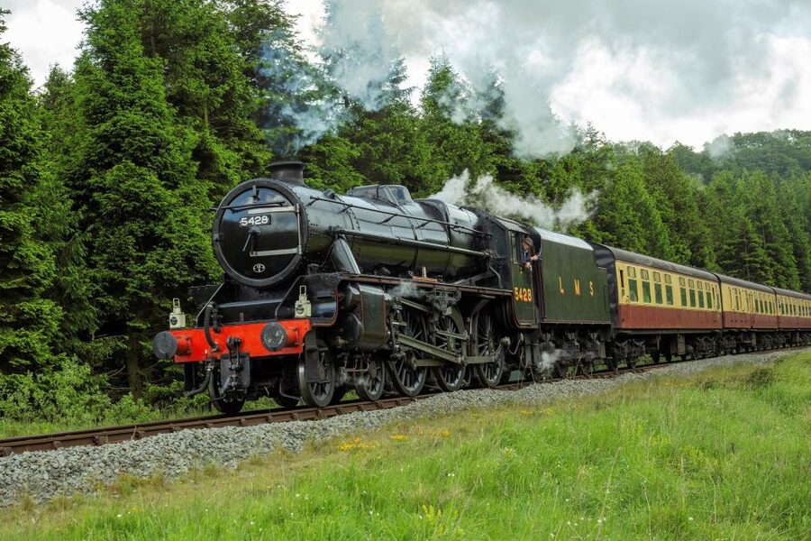 From London: The North York Moors with Steam Train to Whitby - York meeting point, without waiting around at Kings Cross