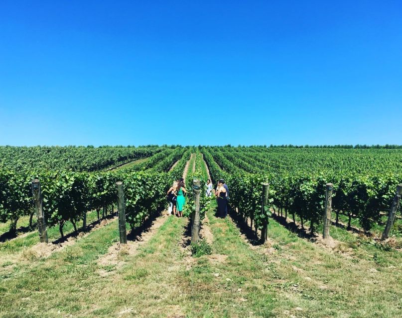 From London: Vintage Bus Wine Tour with Return Train Tickets - The Short Break in Between: Bus Time, Scenery, and Staying Comfortable