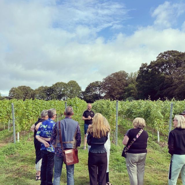 From London: Vintage Bus Wine Tour with Return Train Tickets - Food, Pace, and Practical Comfort on an 8-Hour Day