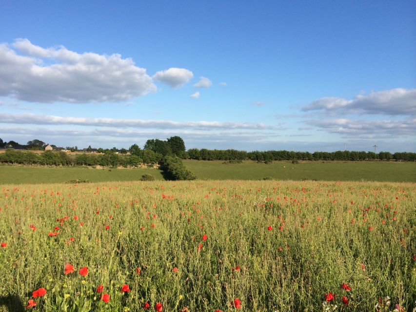 From Oxford: Cotswolds Towns and Villages Small Group Tour - Pacing, Food Budget, and How to Get the Most Out of 7 Hours