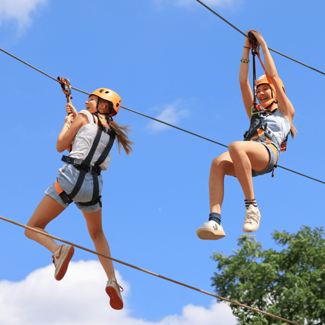 Gripped London: Zip Line, High Ropes & Freefall Adventure - Getting out of London for a tree-top mission