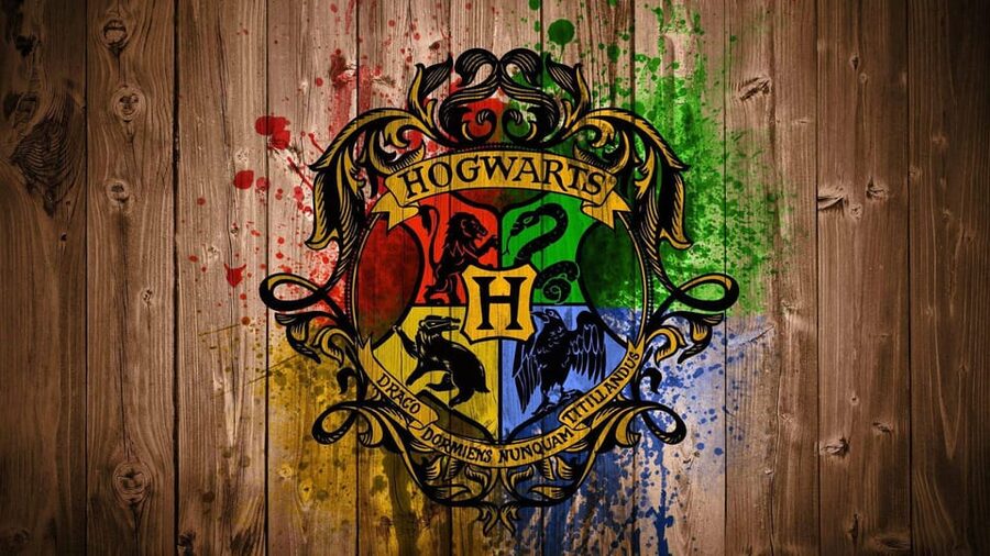 Harry Potter Private Tour of London in Spanish - Who this tour suits best