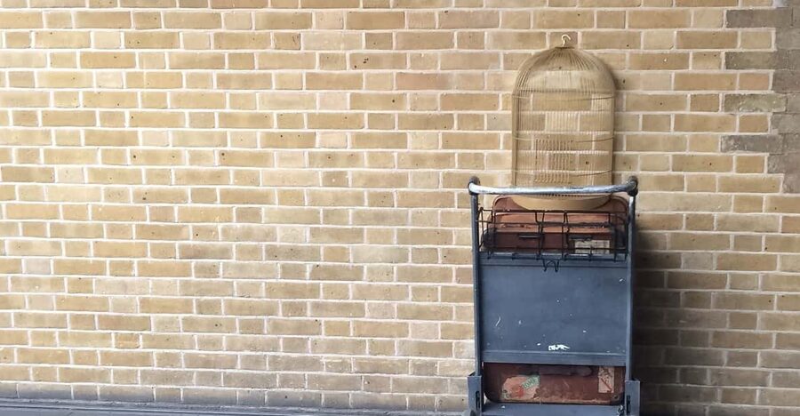 Harry Potter Private Tour of London in Spanish - King’s Cross, Platform 9¾, and the photo that sells the whole day