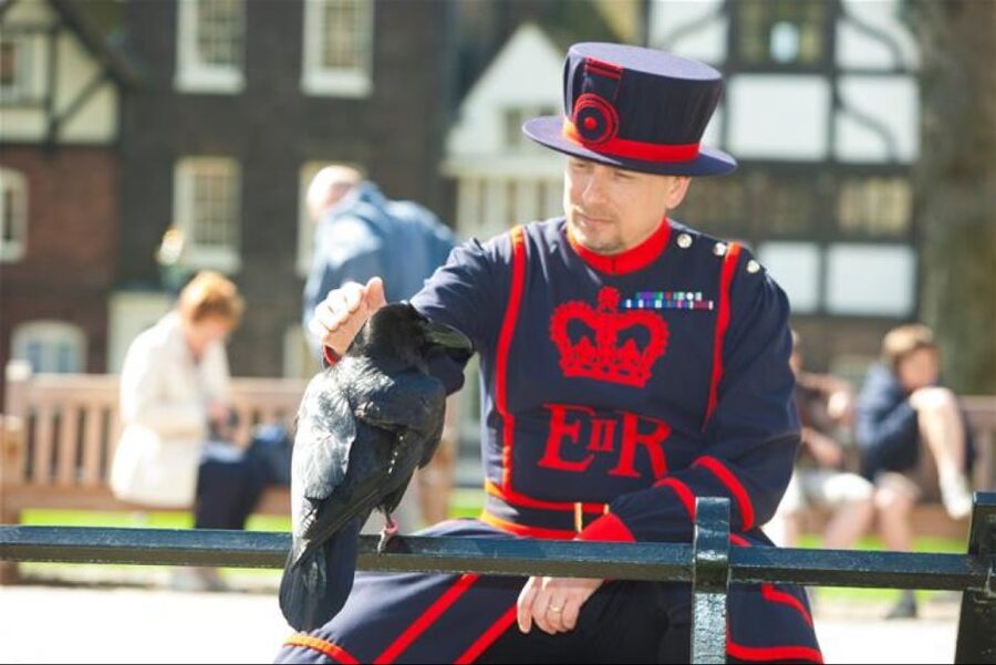 Hop on Hop off London Bus Tour & Tower of London - Inside the Tower of London and the Crown Jewels visit