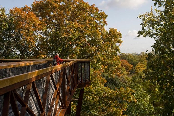 Kew Gardens Entrance Ticket - Why Kew Gardens Feels Like a Big Deal in London