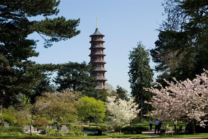 Kew Gardens Entrance Ticket - Gardens on Foot: Azalea, Minka, Bamboo, and the Queen’s Garden