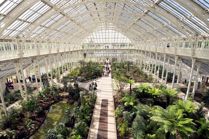 Kew Gardens Entrance Ticket - Temperate House and the Chilean Wine Palm: The Indoor Wow Factor
