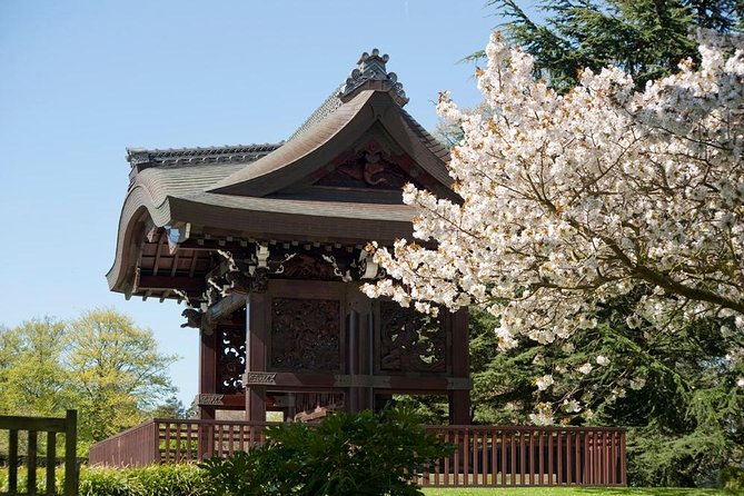 Kew Gardens Entrance Ticket - The Cafés and Breaks: Stay Refreshed Without Losing the Day