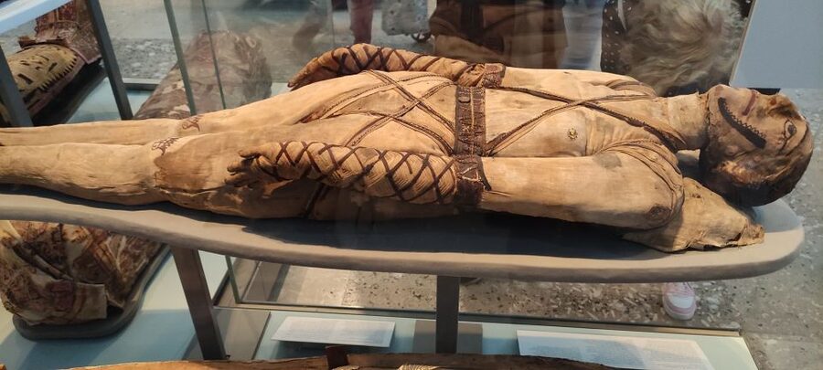 London: British Museum Private Tour for Kids & Families - Money Talk: Is $312 Per Person Good Value?