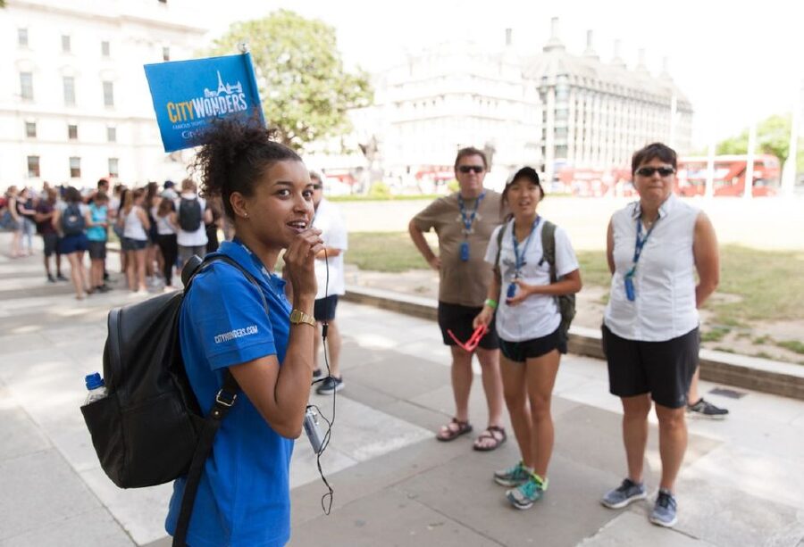 London: Buckingham Palace Entry Ticket & Royal Walking Tour - Price and value for a $93 palace ticket plus royal walk