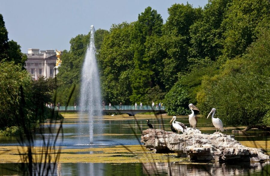 London: Buckingham Palace State Rooms & Royal Walking Tour - Pacing, crowds, and how to enjoy a 3-hour royal hit without rushing