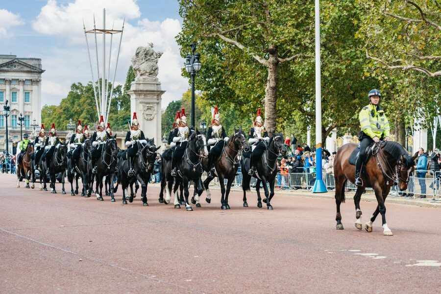 London: Changing of The Guard Tour - Who should book, and who should skip this one