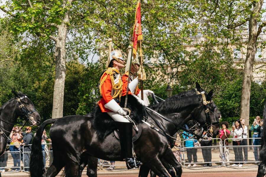 London: Changing of the Guard Tour by Buckingham Palace - Getting oriented at the Duke of York Monument meeting point