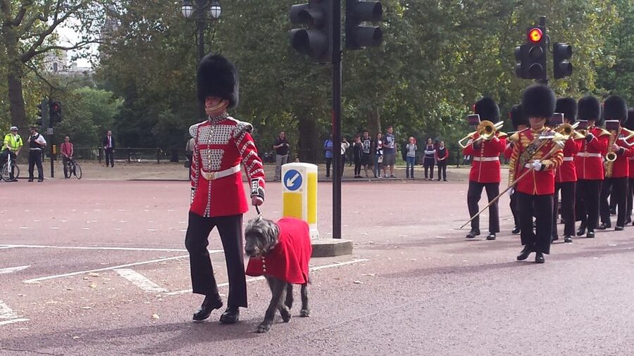 London: Changing of the Guard Walking Tour - Price and logistics: is $26 good value for a 2-hour walk?