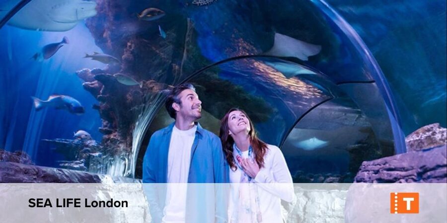 London City pass: Top attractions, Hop on Hop off & tours - Price and value: when $146.69 per person makes sense