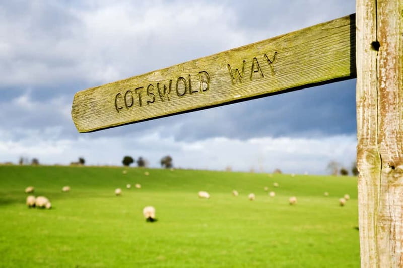 London: Cream Tea at Blenheim Palace & the Cotswolds Tour - Getting the most from the coach day: pace, guides, and timing