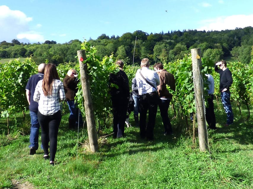 London: Full-Day English Wine Tour with Lunch - Afternoon Vineyard Time: A Picnic Break and Another Guided Tasting