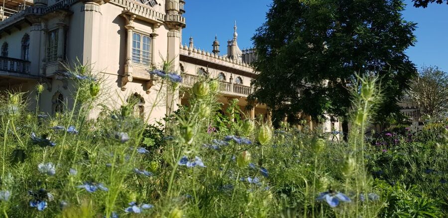 London: Guided Day Trip to Brighton and Seven Sisters - Quick take before you go