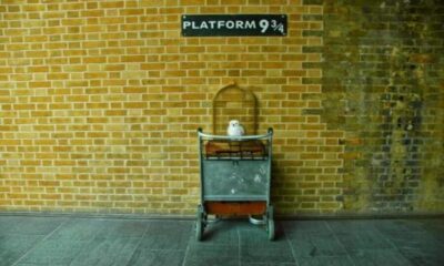 Harry Potter Tour, River Cruise & The London Dungeon