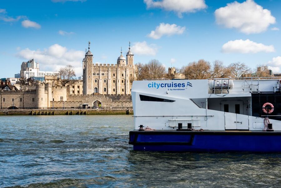 London: Harry Potter Walk, Hop-on Hop-off Bus Tour & Cruise - Meeting at Trafalgar Square: finding your guide fast