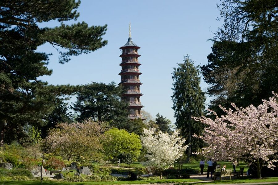 London: Kew Gardens Admission Ticket - Arboretum: Over 14,000 Trees and a Long, Satisfying Wander