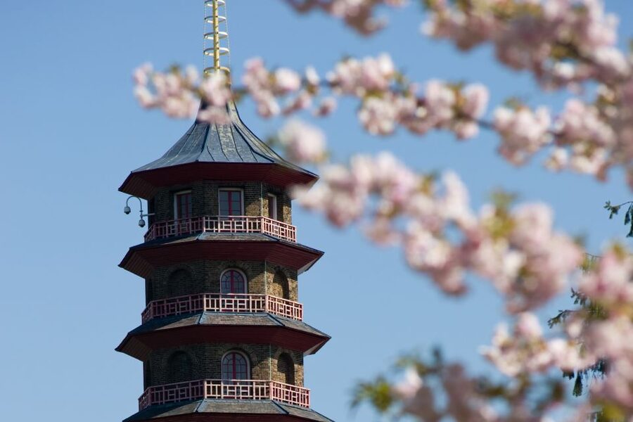 London: Kew Gardens Admission Ticket - Getting There and Timing Your Day From Victoria Gate
