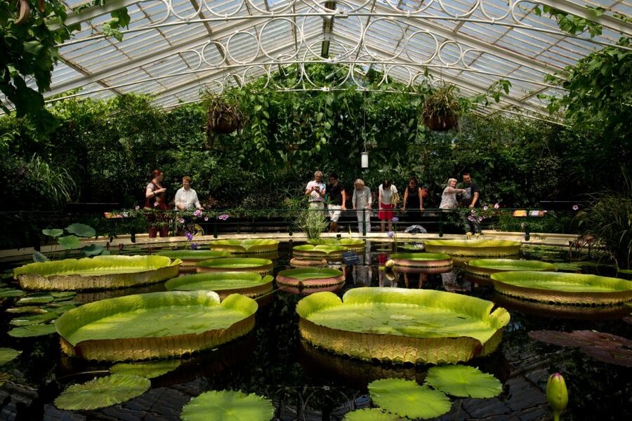 London: Kew Gardens Admission Ticket - Princess of Wales Conservatory: 10 Climate Zones, One Continuous Walk