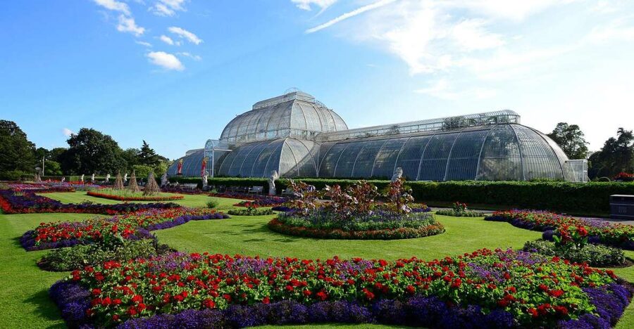 London: Kew Gardens Admission Ticket - The Hive: A Giant Bee World With Sound and Light Details
