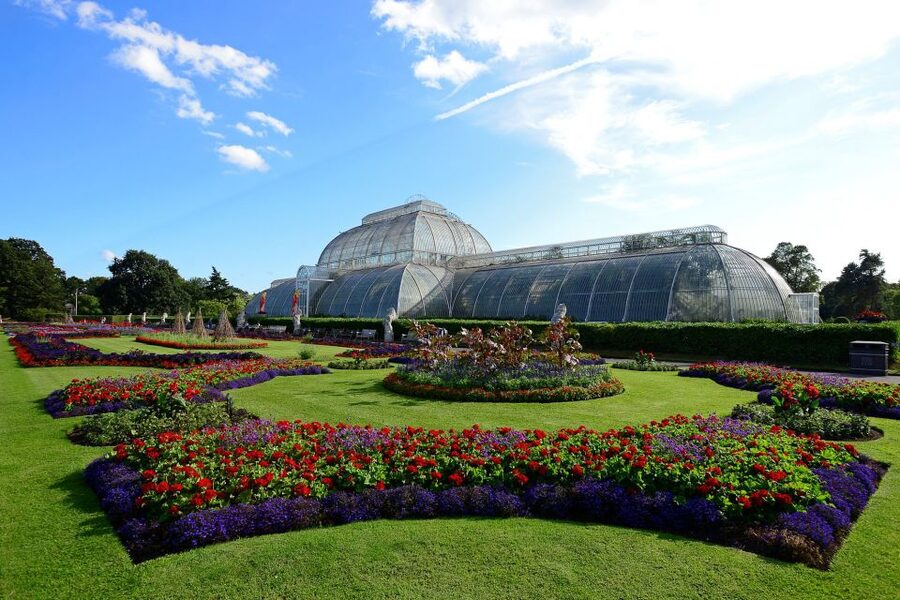 London: Kew Gardens Admission Ticket - Ticket Value: What Your Kew Gardens Admission Ticket Really Covers