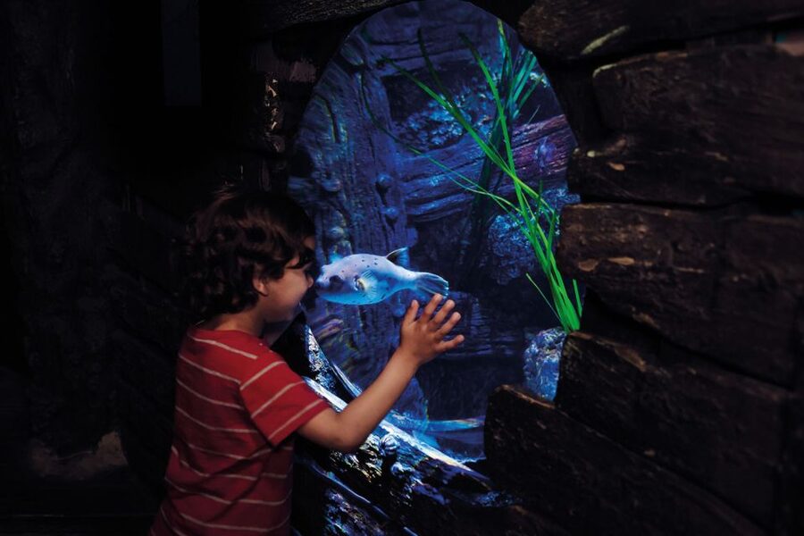 London: Madame Tussauds, London Eye & SEA LIFE Combo Ticket - Why this London combo ticket is a smart use of limited time